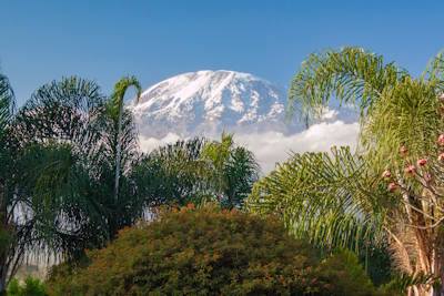 Mount Kilimanjaro
