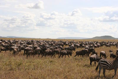 How to Travel in Tanzania? What do besides Safaris?