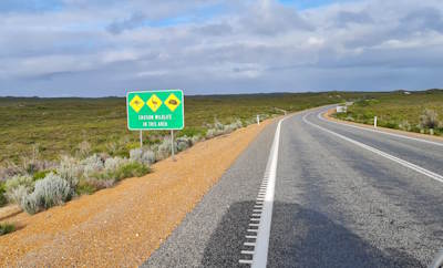 What to do in Western-Australia (Perth)?