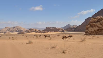 Wadi Rum