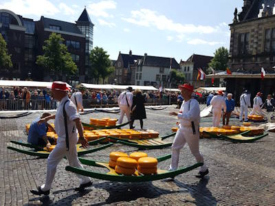 How to travel in The Netherlands? What to do there?