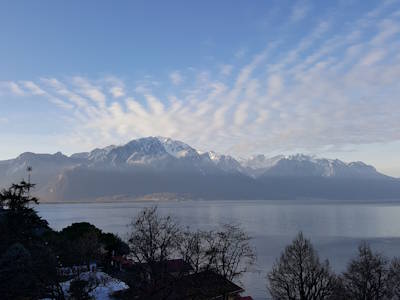 Einige Hintergrundinformationen