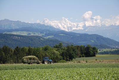 Switzerland, Kirchdorf BE