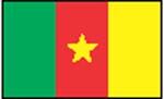 flag Camerún