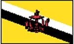 flag Brunei