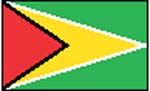 flag Guyana