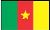 flag Camerún