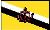 flag Brunei