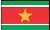 Flag: 苏里南